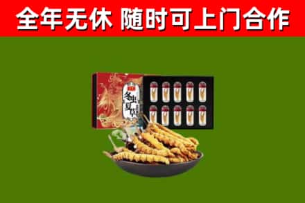 都江堰市回收冬虫夏草价格